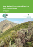 Key Native Ecosystem Plan for Tora Coast Bush 2016-2019 preview
