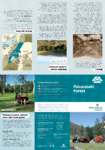 Pākuratahi Forest brochure preview