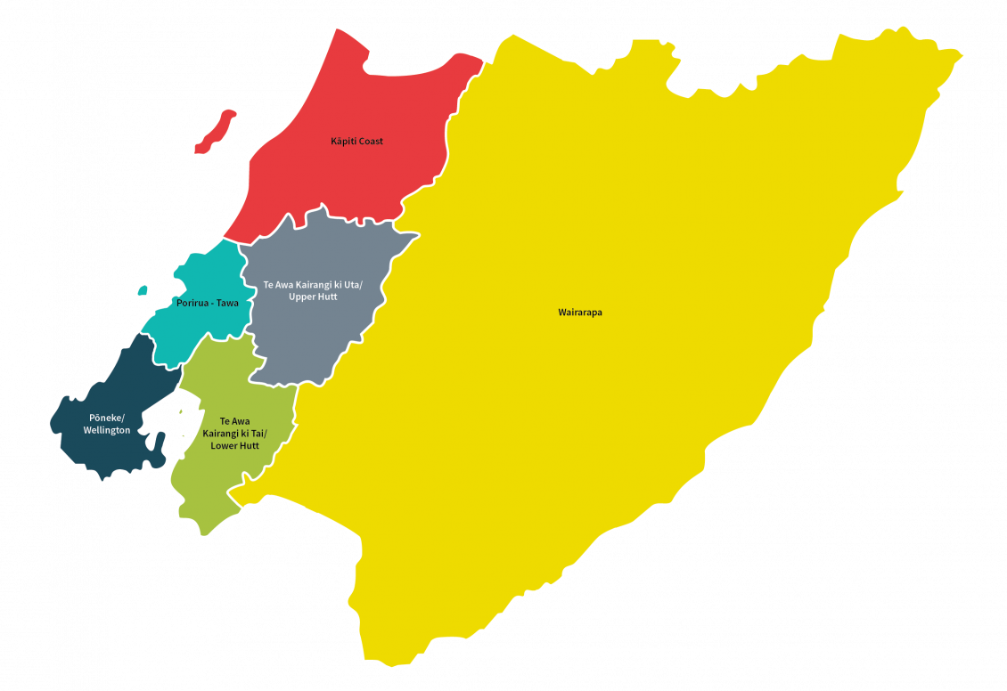 Constituencies of Greater Wellington 