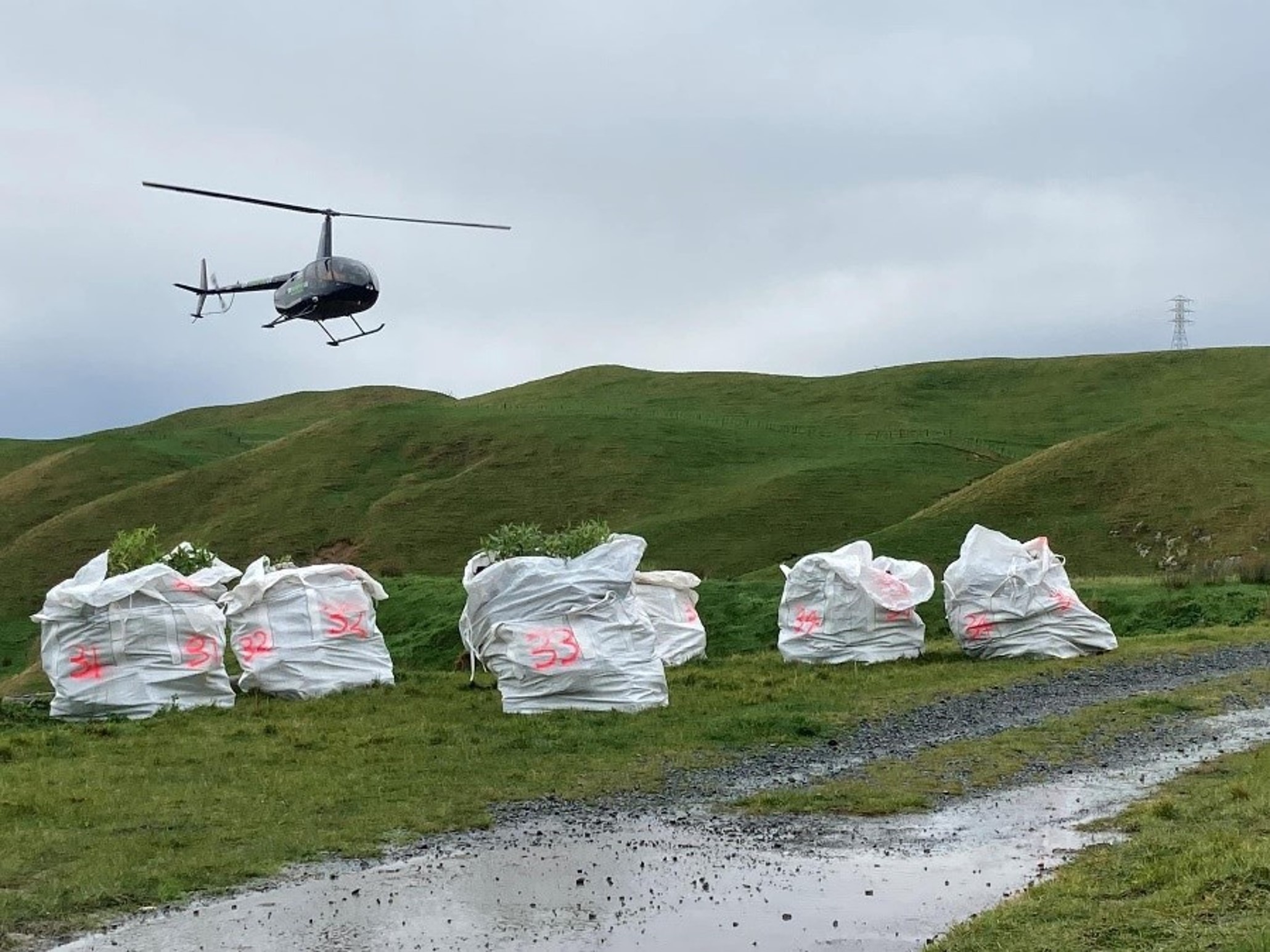 A helicopter hovers above several large bags of plants