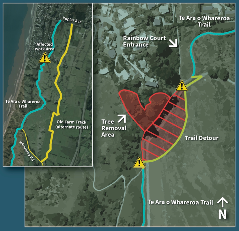 Map showing the area that pine trees are being removed near Te Ara o Whareroa Trail 