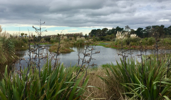 Protecting and restoring wetlands