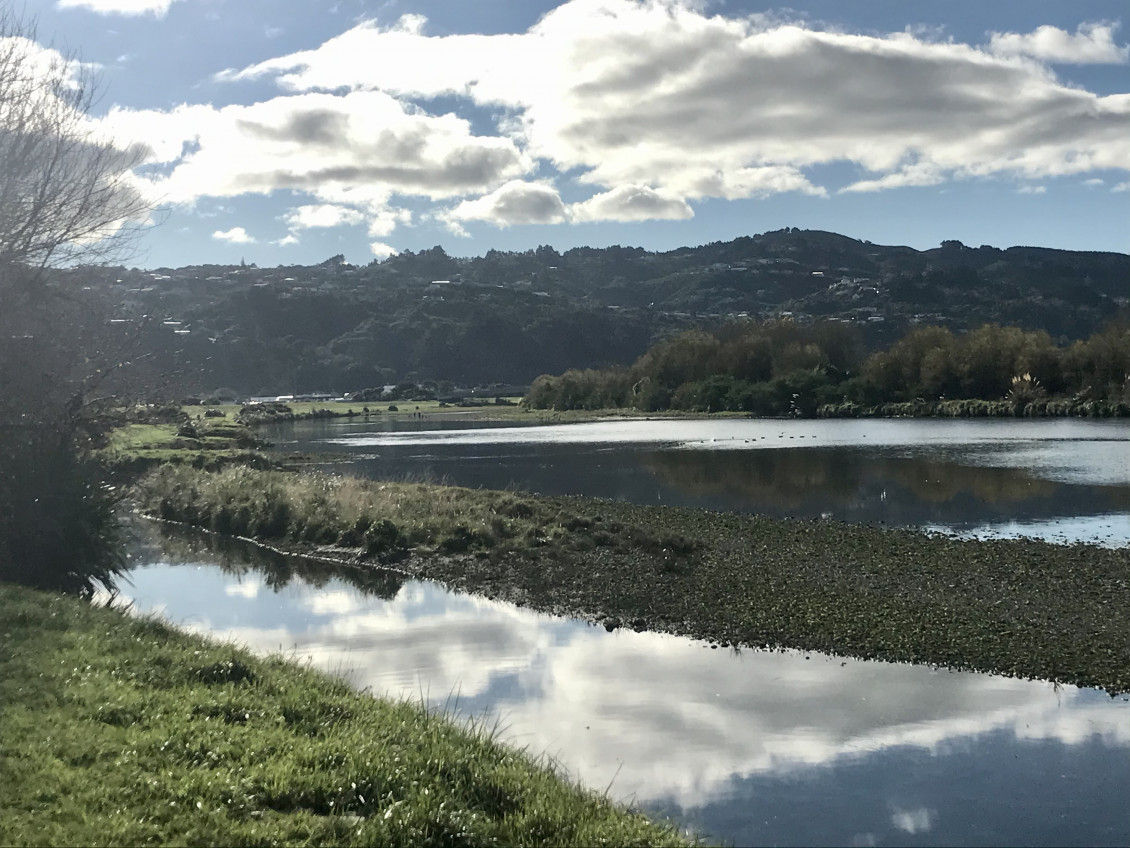 A view of the river on the Hutt River Trail